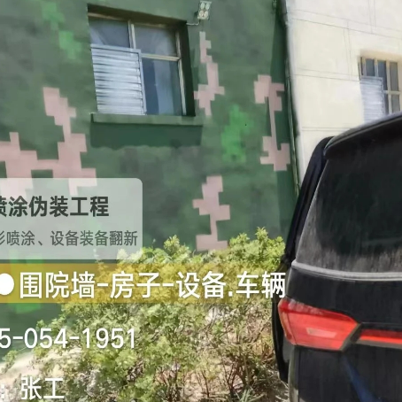 洛阳数码迷彩漆施工